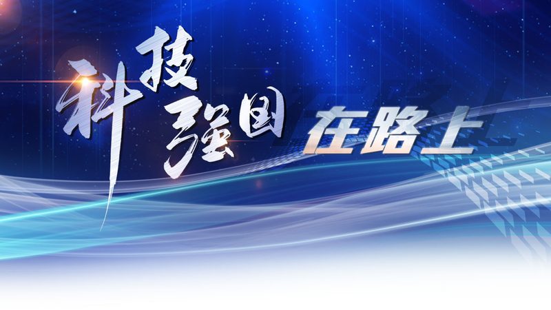 RPA Python自动化脚本定制：提升企业效率的秘密武器